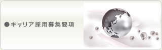 キャリア採用募集要項