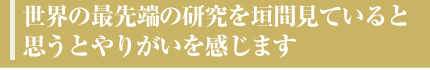 世界の最先端の研究を垣間見ていると思うとやりがいを感じます