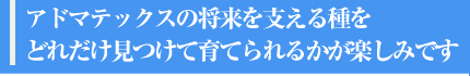 アドマテックスの将来を支える種をどれだけ見つけて育てられるかが楽しみです